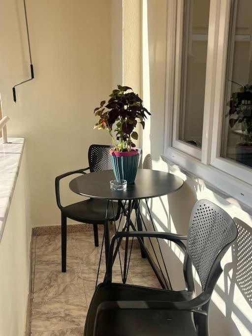 Vibrant & Central Tirana Oasis Luaran gambar